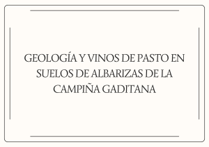 GEOLOGÍA Y VINOS DE PASTO EN SUELOS DE ALBARIZAS DE LA CAMPIÑA GADITANA